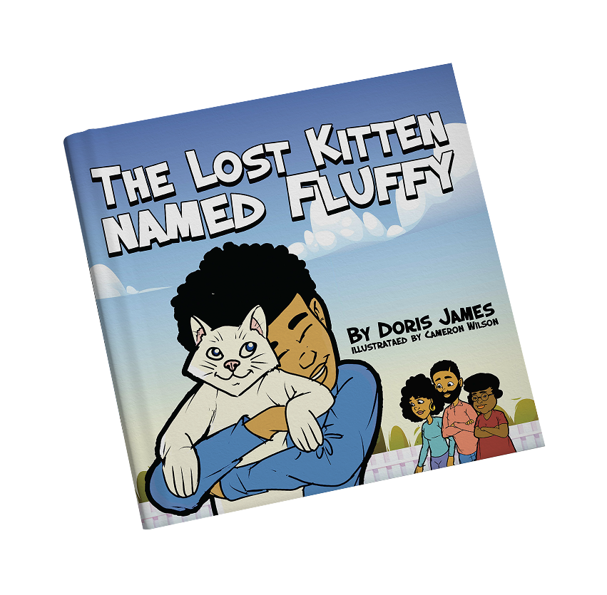 The Lost Kitten Named Fluffy Book Cover